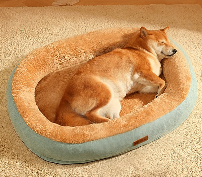 CozyConfort