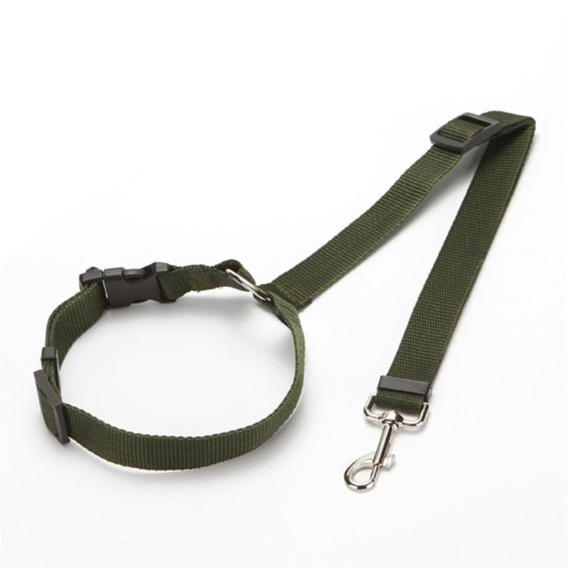 2-in-1 Seat Belt