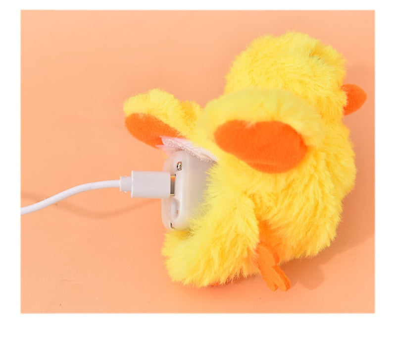 Canard Remuant