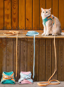 Harnais Chats et Petits Chiens