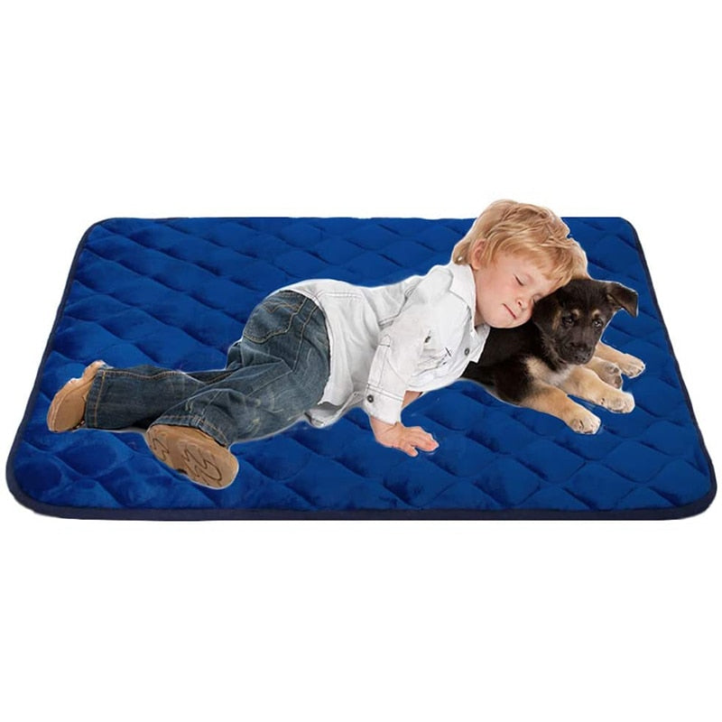 Cojín para perro