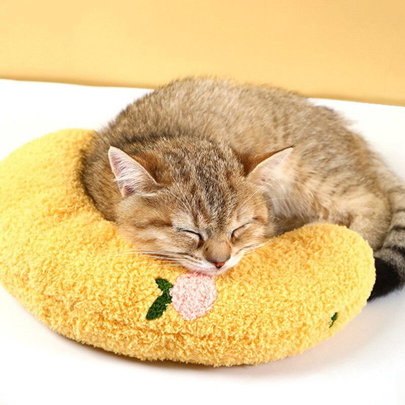 Oreiller pour chat