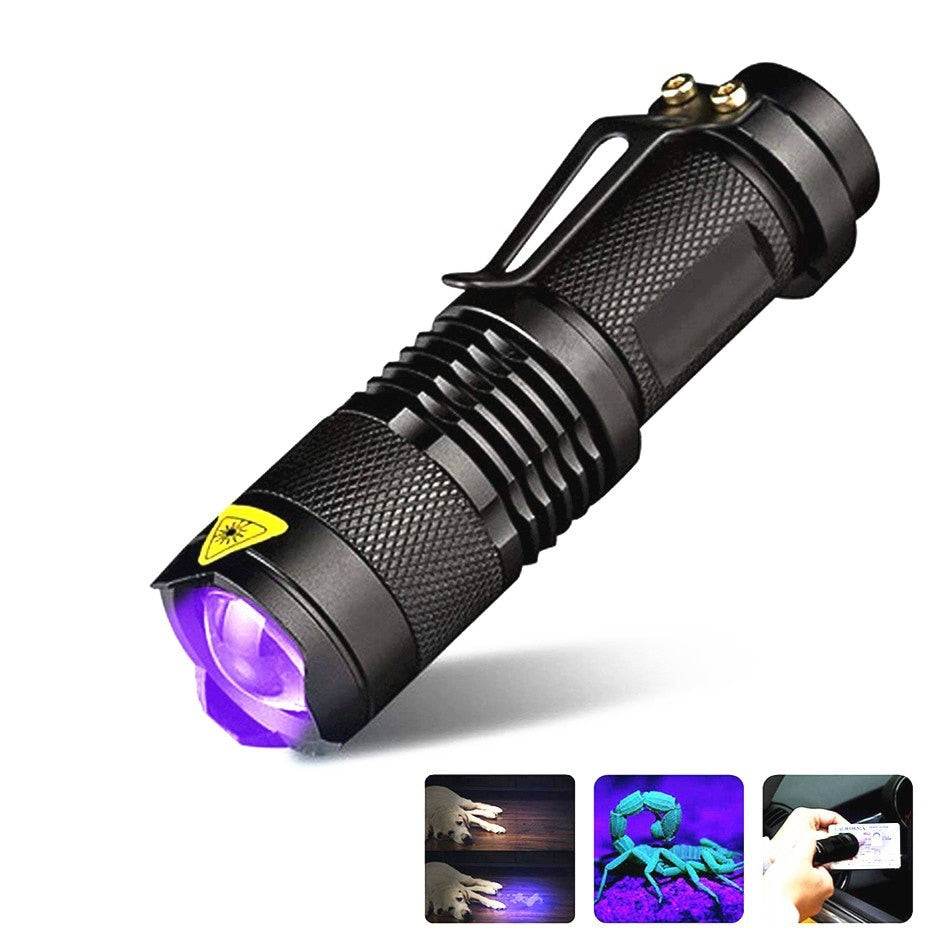 Lampe UV Détecteur Urine et Parasites