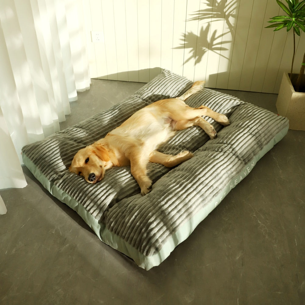 CozyRelax