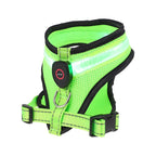 Harnais Lumineux pour Petits Chiens