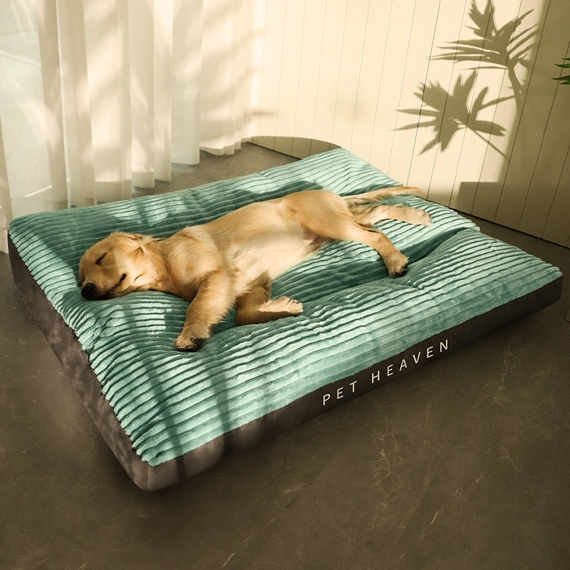 CozyRelax