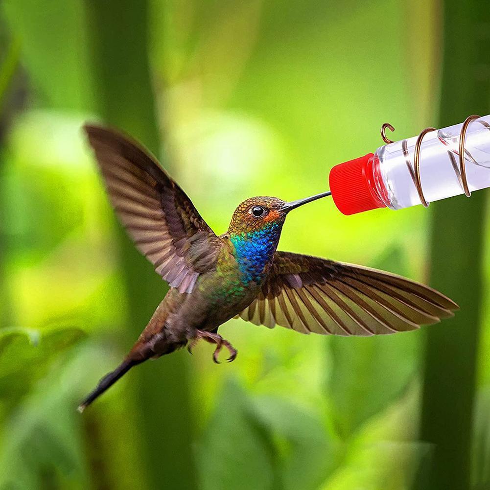 Abreuvoir pour Oiseaux