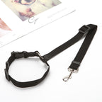 Ceinture de sécurité 2 en 1