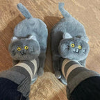 Chaussons Chats