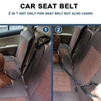 Ceinture de sécurité 2 en 1