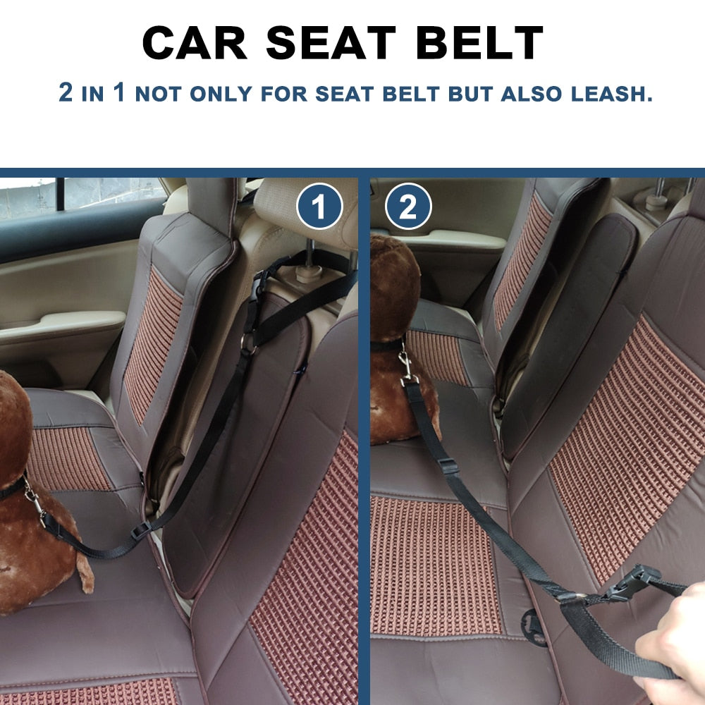 Ceinture de sécurité 2 en 1