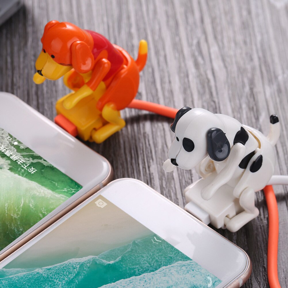 Clé USB Chien en Folie