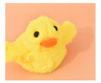 Canard Remuant