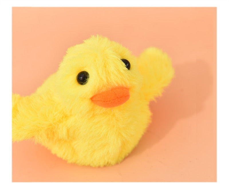 Canard Remuant