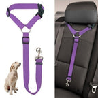 Ceinture de sécurité 2 en 1