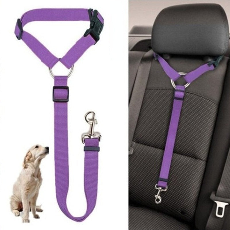 Ceinture de sécurité 2 en 1