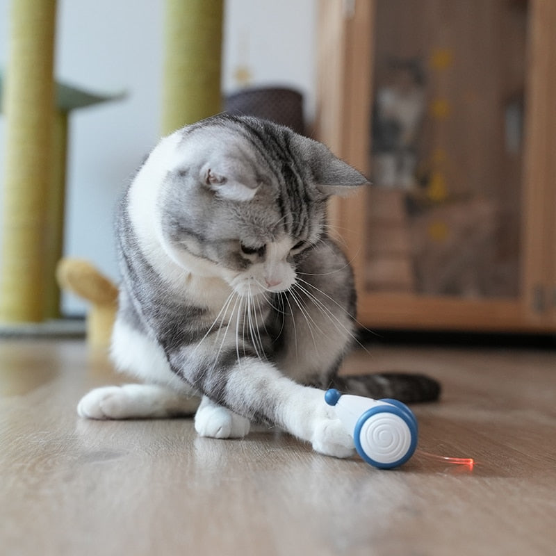 Souris en Folie Automatique