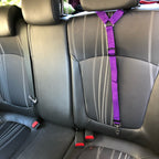 Ceinture de sécurité 2 en 1