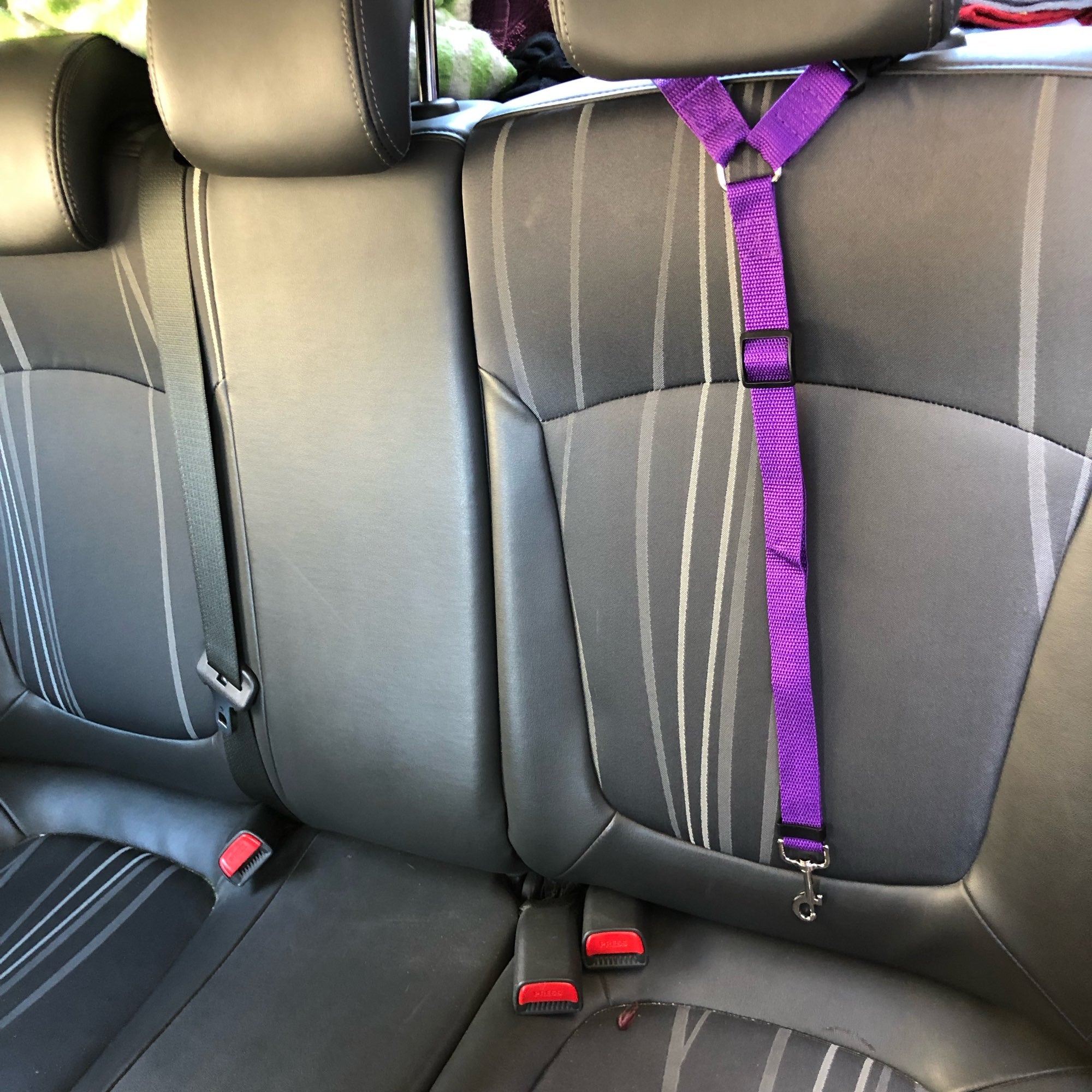 Ceinture de sécurité 2 en 1