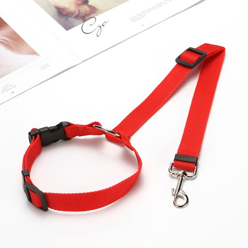 2-in-1 Seat Belt