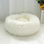 coussin confortable épais chien et chat