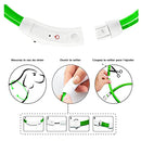 Collier clignotant pour chien