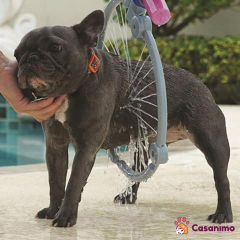 Anneau de lavage chien
