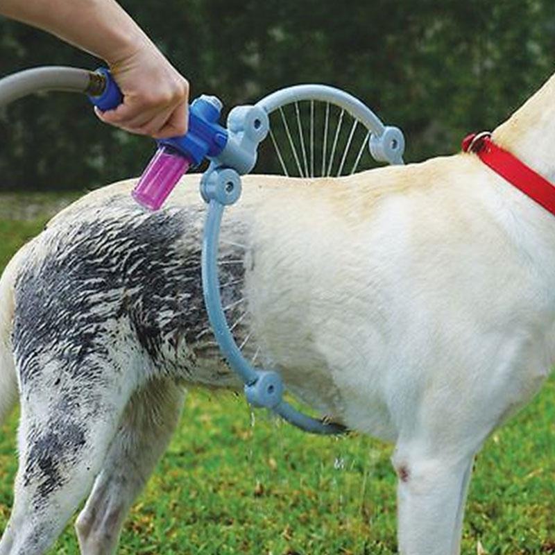 Anneau de lavage chien