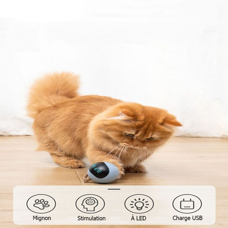 MiaouBall  balle LED recharge USB