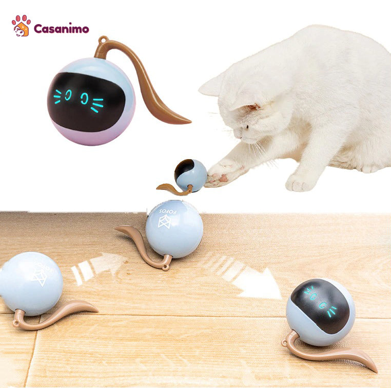 MiaouBall  balle LED recharge USB