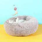 coussin confortable épais chien et chat