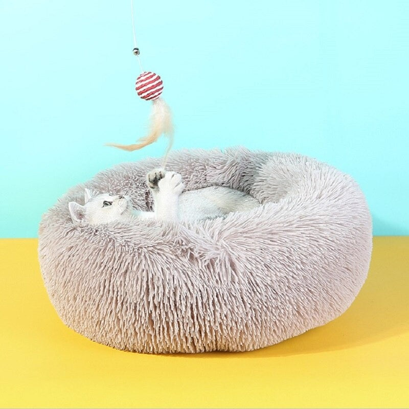 coussin confortable épais chien et chat