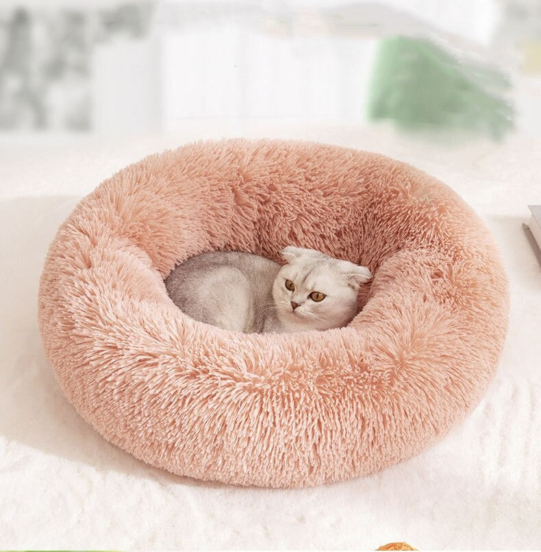 coussin confortable épais chien et chat