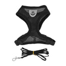 Harnais et sa laisse pour chat