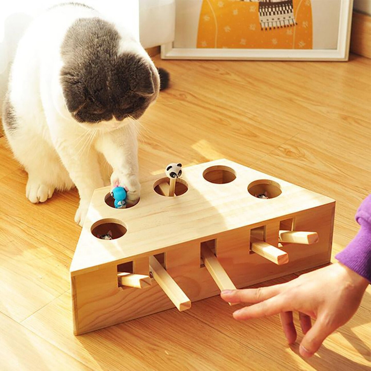 jeu piano chat