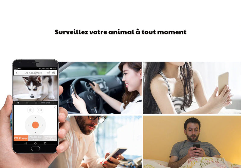Caméra de surveillance wifi pour animaux
