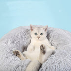 coussin confortable épais chien et chat