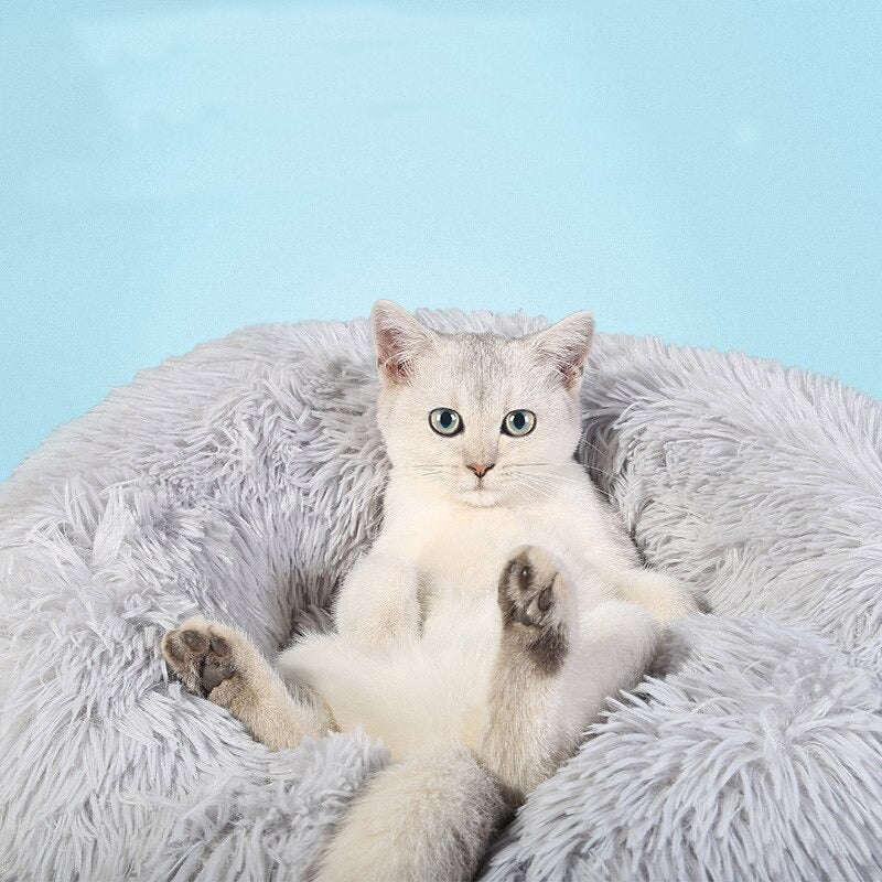 coussin confortable épais chien et chat