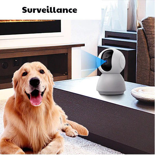 Caméra de surveillance wifi pour animaux