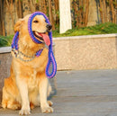 Pack : Collier et Laisse en Corde