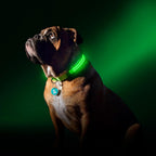 Collier éclairage LED waterproof