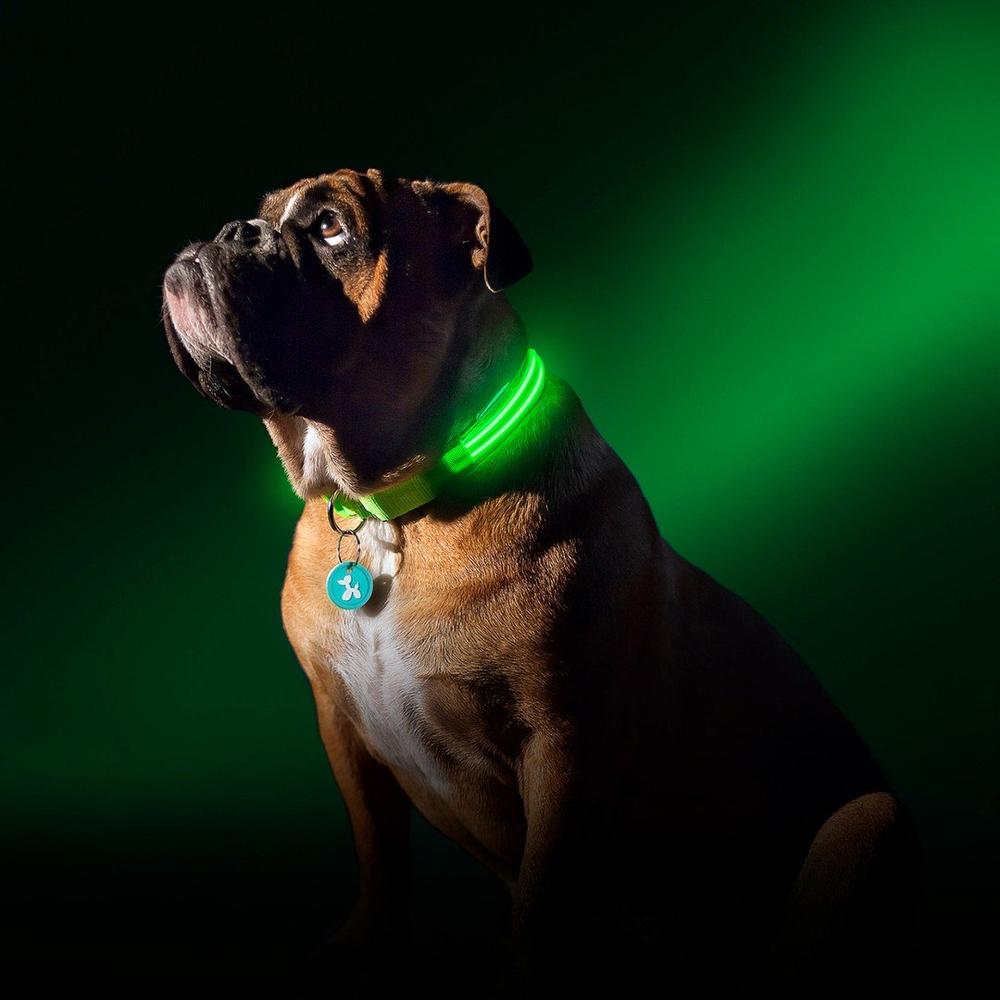 Collier éclairage LED waterproof