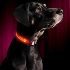Collier éclairage LED waterproof
