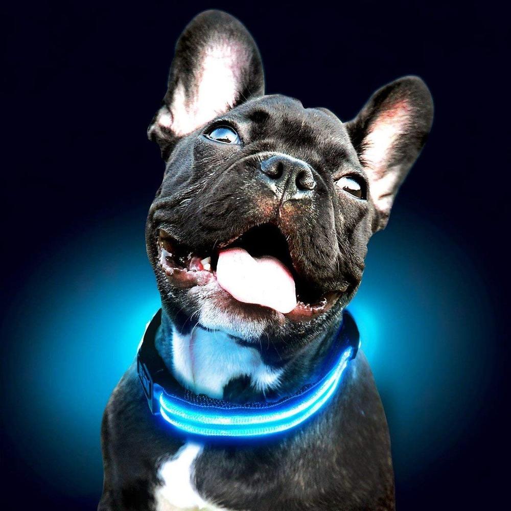 Collier éclairage LED waterproof