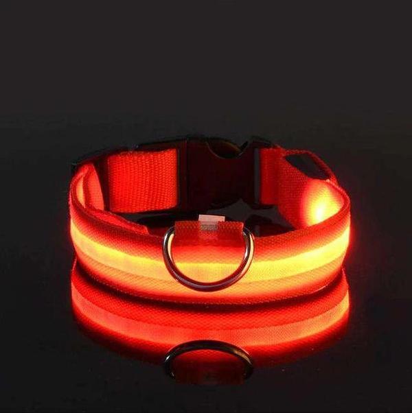 Collier éclairage LED waterproof