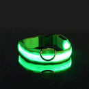 Collier éclairage LED waterproof