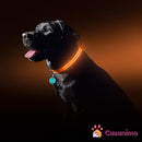 Collier éclairage LED waterproof