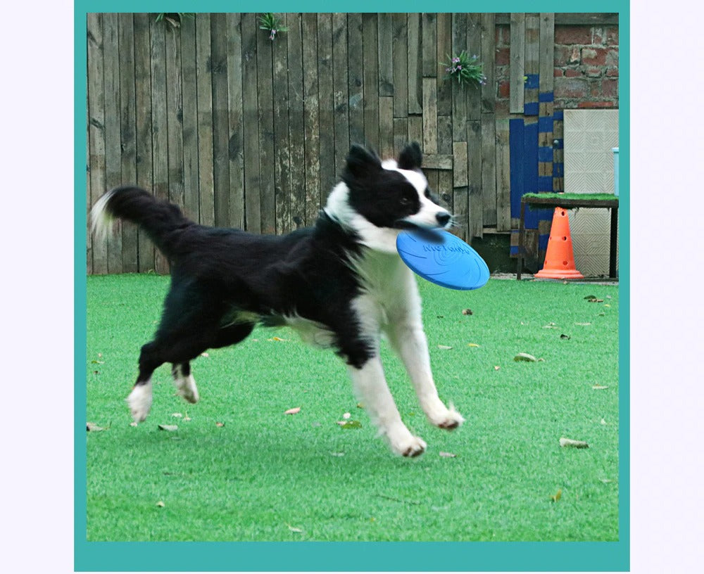Frisbee incassable