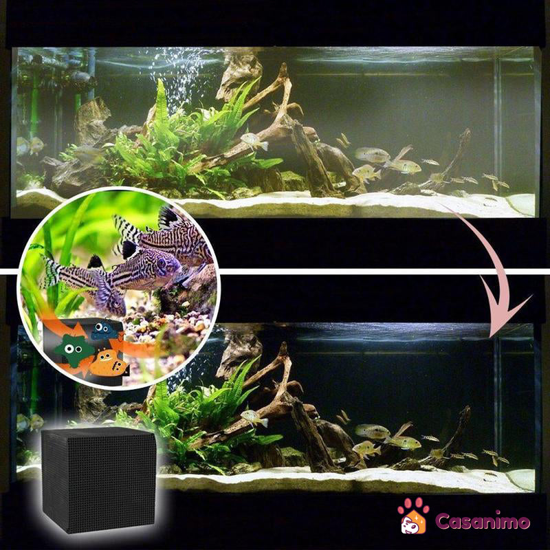 Cube Charbon Actif Nettoyeur d'Aquarium