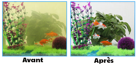 Cube Charbon Actif Nettoyeur d'Aquarium